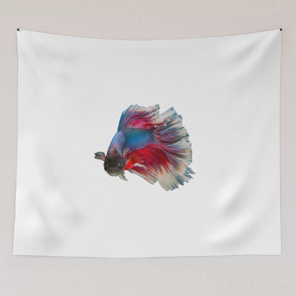 Item preview, Fighting fish three colors fighting thai fighting fish tail flick Thailand designed and sold by greengoodnich.