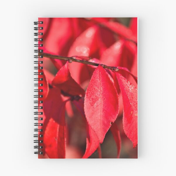 Item preview, Burning Bush designed and sold by LynyrdSky.