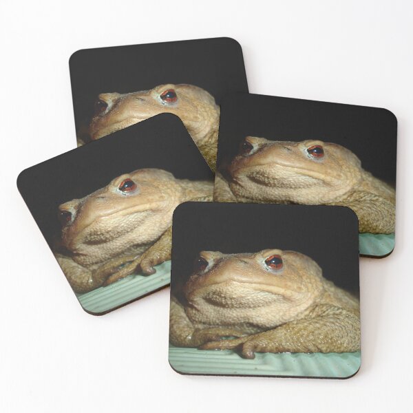Item preview, A Common Toad With Philosophical Disposition designed and sold by taiche.