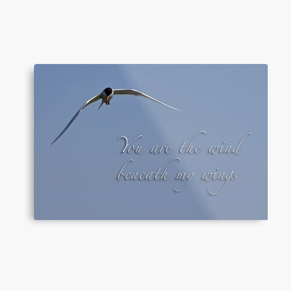 Wind beneath my wings Metal Print