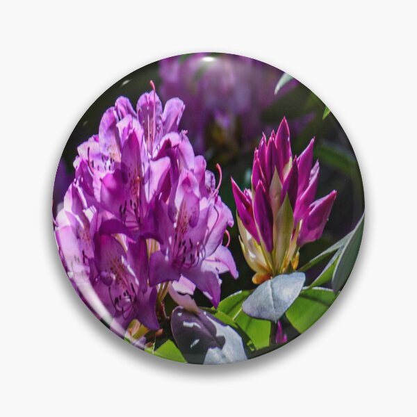 Item preview, Flores moradas designed and sold by KoserClickPics.