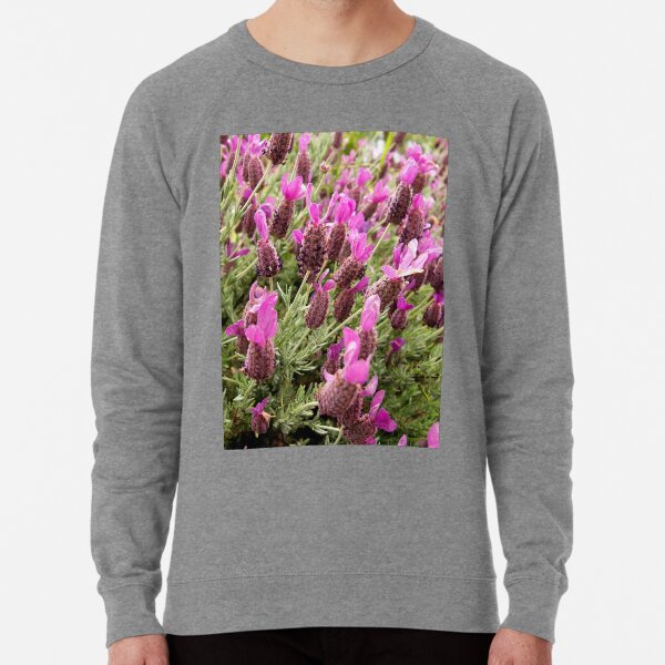 Lightweight Sweatshirt