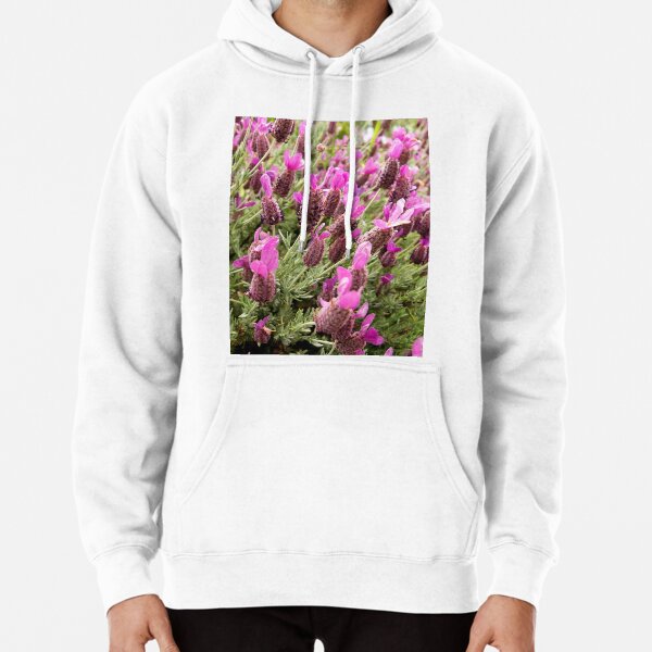 Hoodie (Pullover)