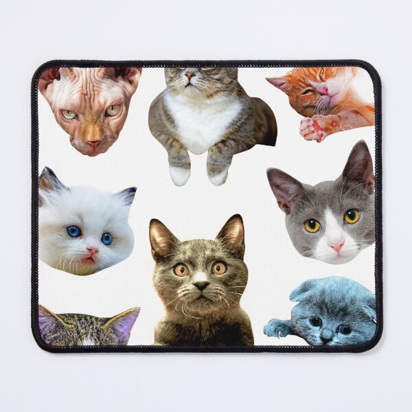 Item preview, Cats bundle stickers, Cat Memes, Peeking Cat Sticker designed and sold by high-star.