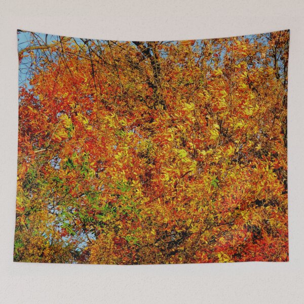 Item preview, Colors of Fall designed and sold by Nicole Kiefer.