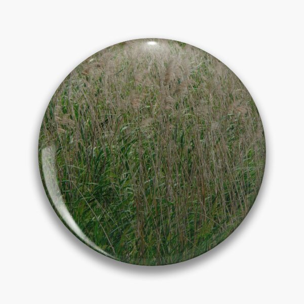 Item preview, Reed beds designed and sold by Kiran-Fine-Art.