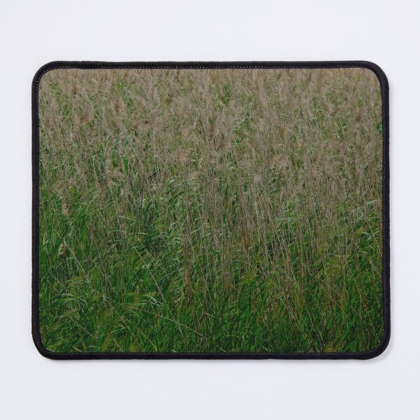 Item preview, Reed beds designed and sold by Kiran-Fine-Art.