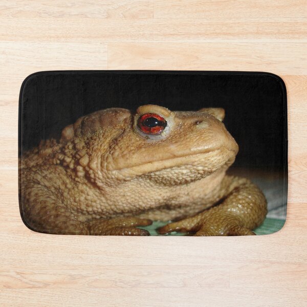 Item preview, Common European Toad Bufo Bufo Close Up Photograph designed and sold by taiche.