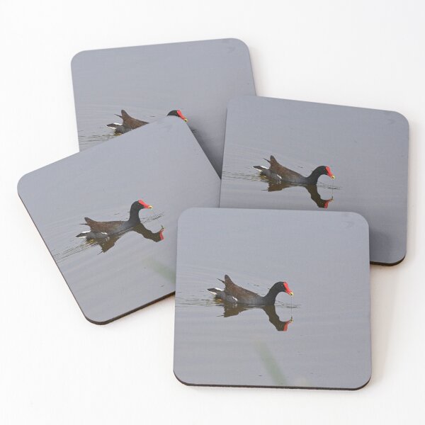 Item preview, Moorhen AKA Marsh Hen designed and sold by LisaWootenPhoto.