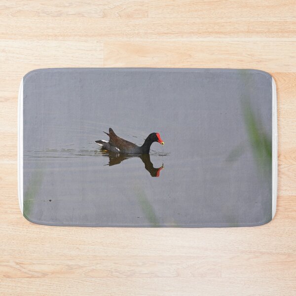Item preview, Moorhen AKA Marsh Hen designed and sold by LisaWootenPhoto.