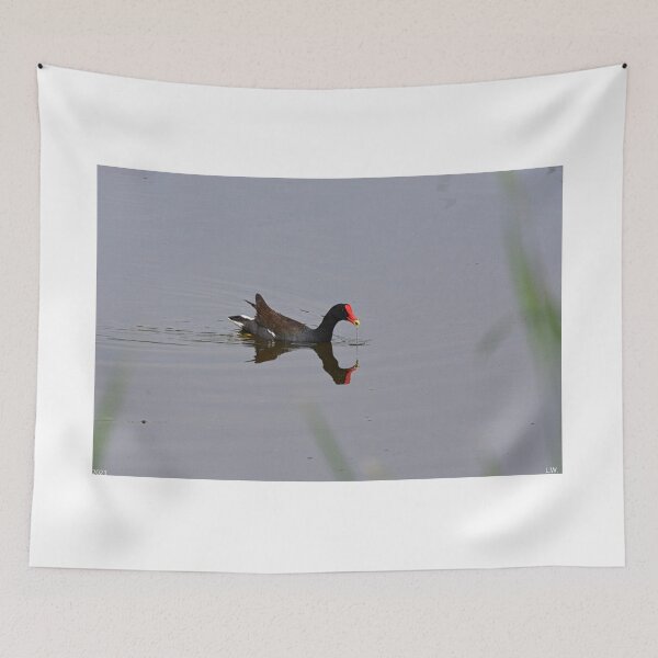 Item preview, Moorhen AKA Marsh Hen designed and sold by LisaWootenPhoto.