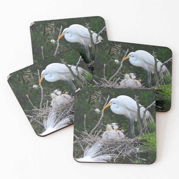Item preview, Baby Egrets Nesting With Momma designed and sold by LisaWootenPhoto.