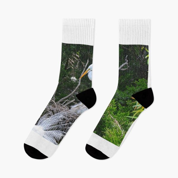 Item preview, Baby Egrets Nesting With Momma designed and sold by LisaWootenPhoto.