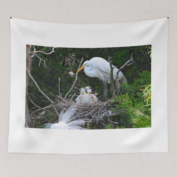 Item preview, Baby Egrets Nesting With Momma designed and sold by LisaWootenPhoto.