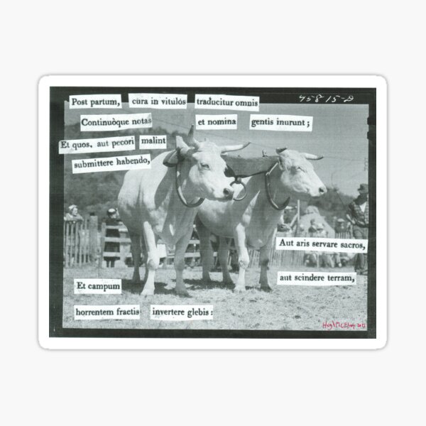 Georgics III (Oxen) Sticker