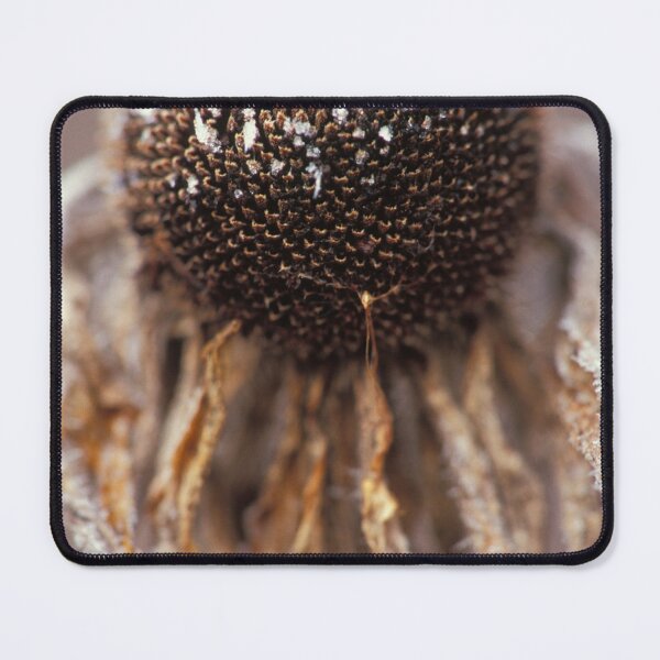 Item preview, Frosted Echinacea designed and sold by Bill Spengler's Photographic Thoughts.
