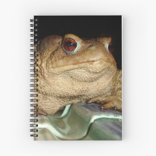 Item preview, Close Up of A Common European Toad designed and sold by taiche.