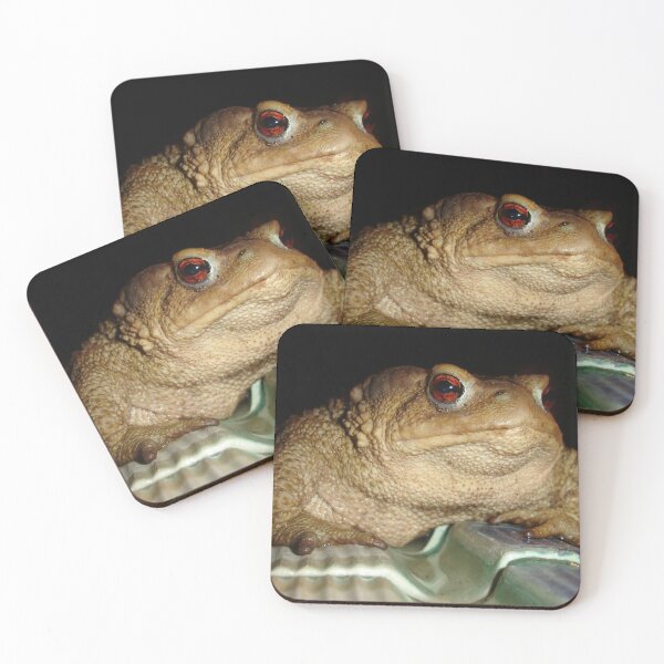 Item preview, Close Up of A Common European Toad designed and sold by taiche.
