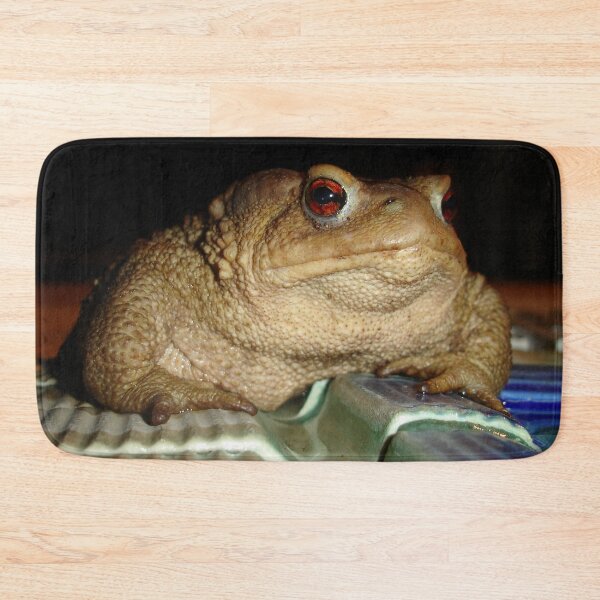 Item preview, Close Up of A Common European Toad designed and sold by taiche.