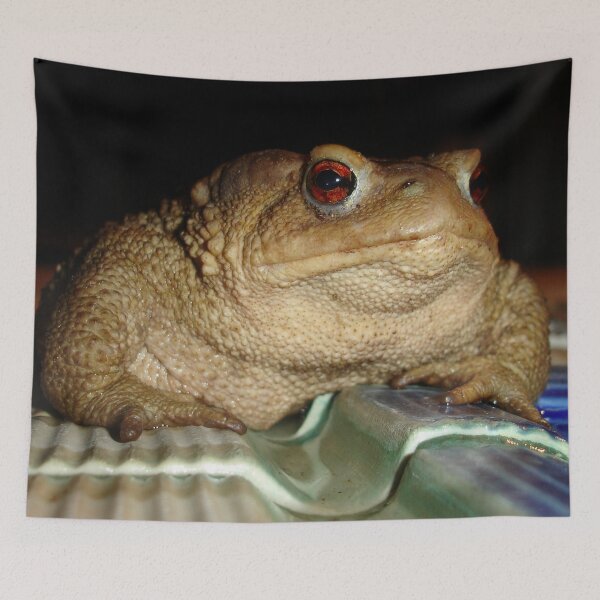 Item preview, Close Up of A Common European Toad designed and sold by taiche.