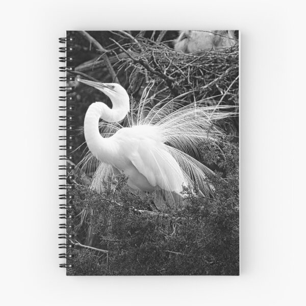 Item preview, Impressing The Ladies Black And White designed and sold by LisaWootenPhoto.