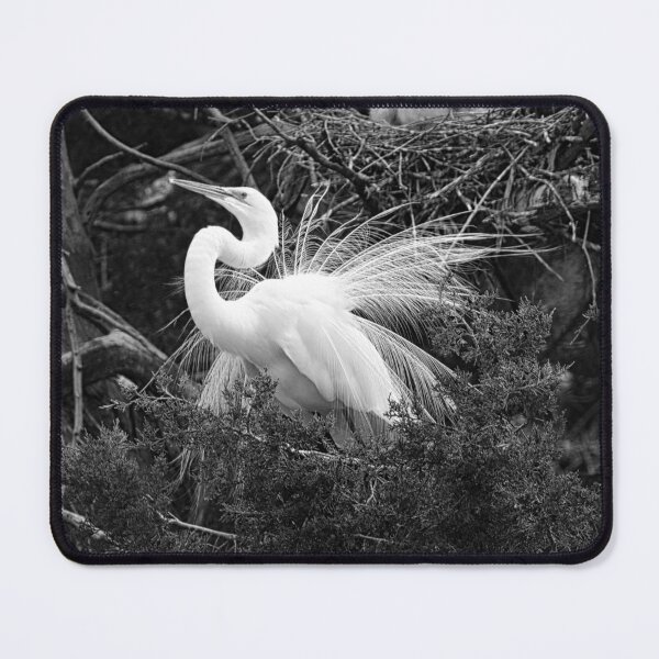 Item preview, Impressing The Ladies Black And White designed and sold by LisaWootenPhoto.