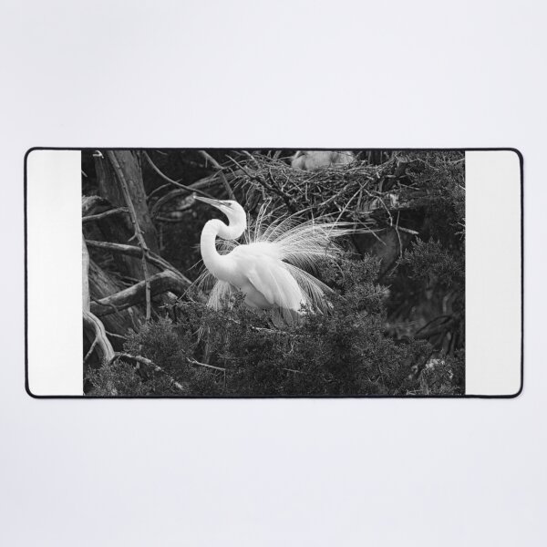 Item preview, Impressing The Ladies Black And White designed and sold by LisaWootenPhoto.