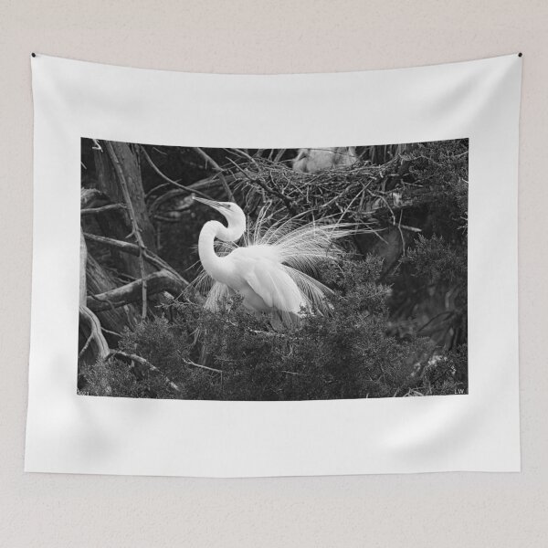 Item preview, Impressing The Ladies Black And White designed and sold by LisaWootenPhoto.