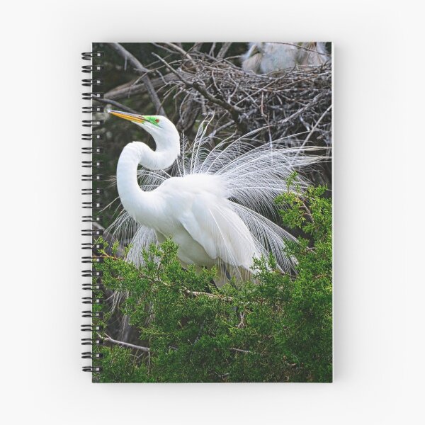Item preview, Impressing The Ladies designed and sold by LisaWootenPhoto.