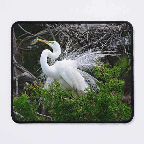 Item preview, Impressing The Ladies designed and sold by LisaWootenPhoto.
