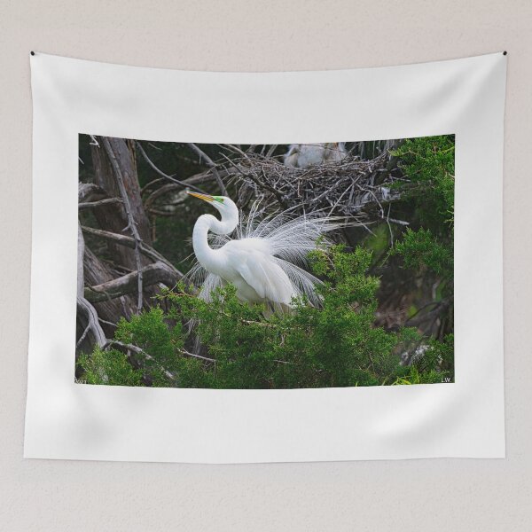 Item preview, Impressing The Ladies designed and sold by LisaWootenPhoto.
