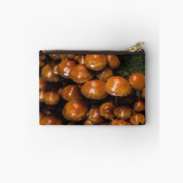 Item preview, Toadies designed and sold by LieselMc.