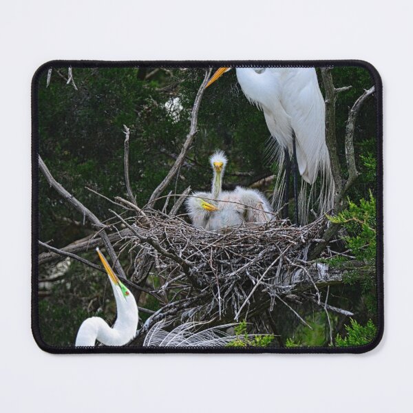 Item preview, Teaching Them How To Impress The Ladies designed and sold by LisaWootenPhoto.