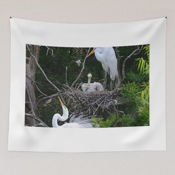 Item preview, Teaching Them How To Impress The Ladies designed and sold by LisaWootenPhoto.