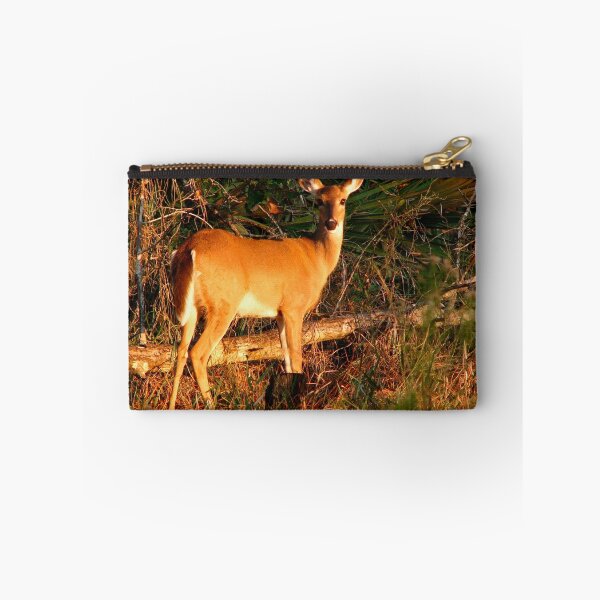 Item preview, White-Tailed Deer Portrait #2. Lake Kissimmee S.P. designed and sold by christopher kusik.