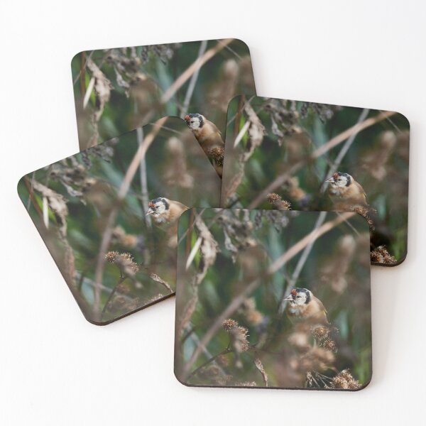 Item preview, Spiky lunch. European goldfinch designed and sold by Jouko Lehto Photography.