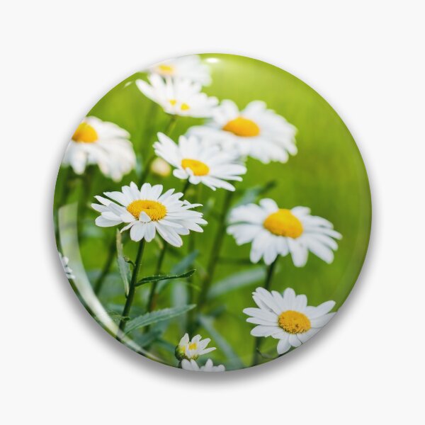 Item preview, White Daisies designed and sold by Leslie Banks.