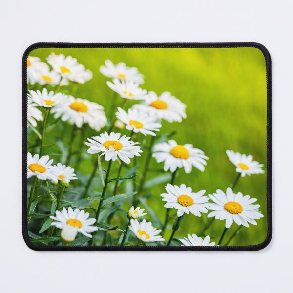 Item preview, White Daisies designed and sold by Leslie Banks.
