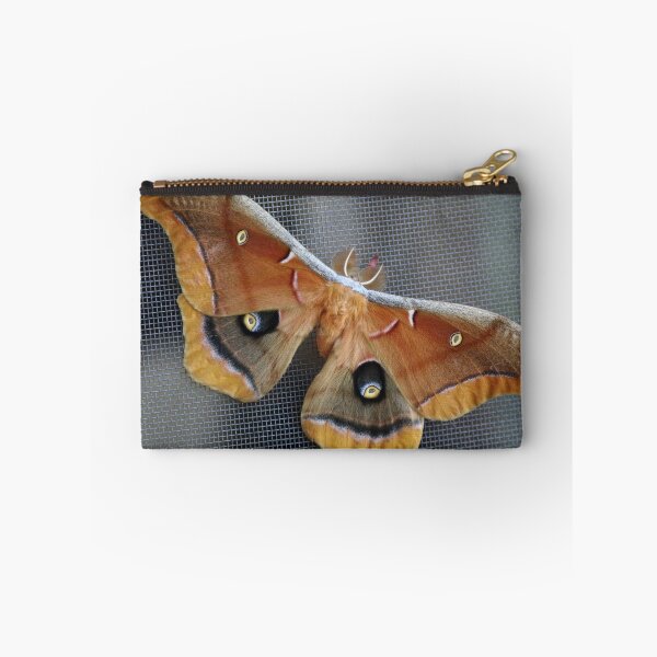 Item preview, Polyphemus designed and sold by Olivia Plasencia.