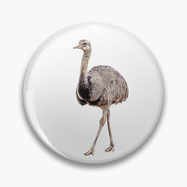 Item preview, Rhea Bird designed and sold by Leslie Banks.
