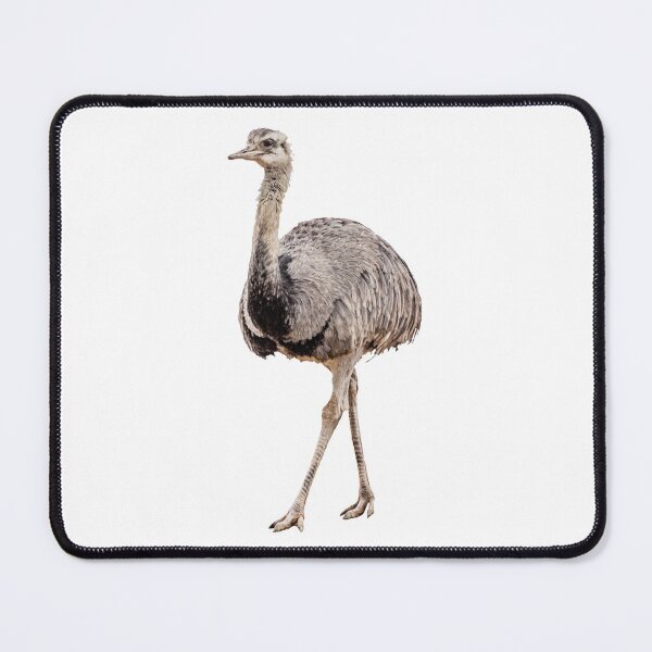 Item preview, Rhea Bird designed and sold by Leslie Banks.