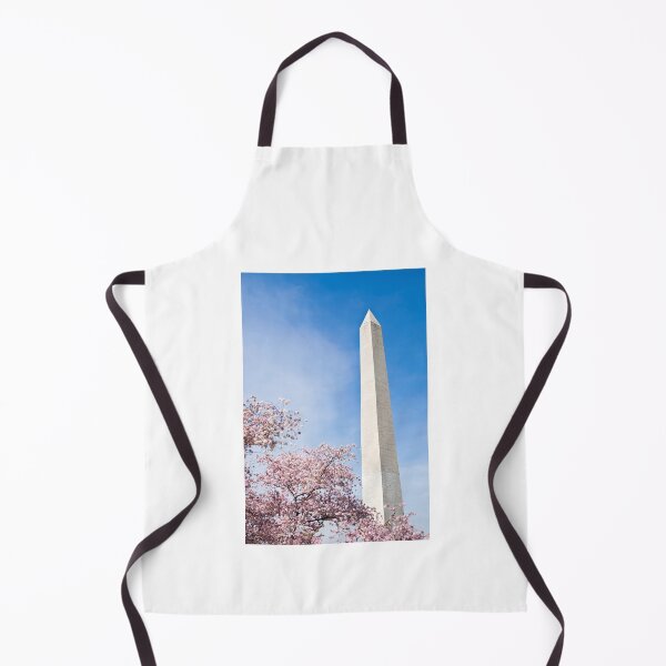 Artikelvorschau, Washington Monument entworfen und verkauft von Leslie Banks.
