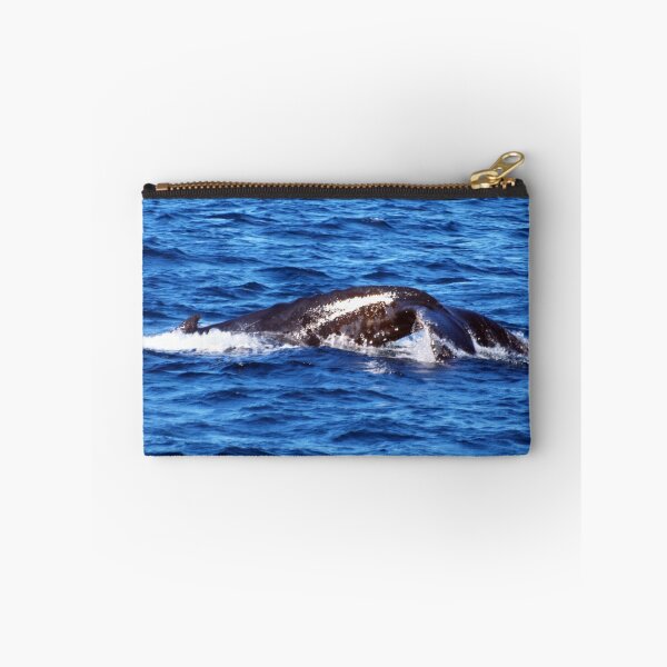 Item preview, the dive designed and sold by geophotographic.