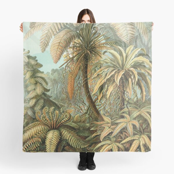 Item preview, Ferns - Ernst Haeckel designed and sold by billythekidtees.