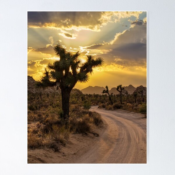 Item preview, Golden Light on Keys Ranch Road designed and sold by Peter B Photography.