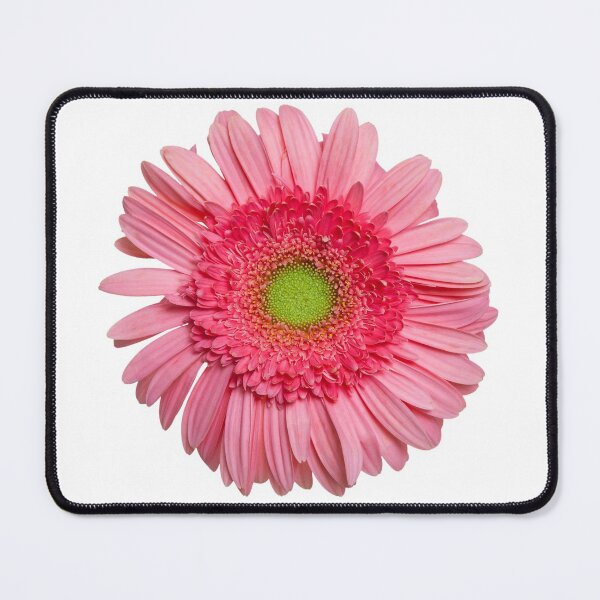 Item preview, Pink Gerbera Daisy designed and sold by Leslie Banks.