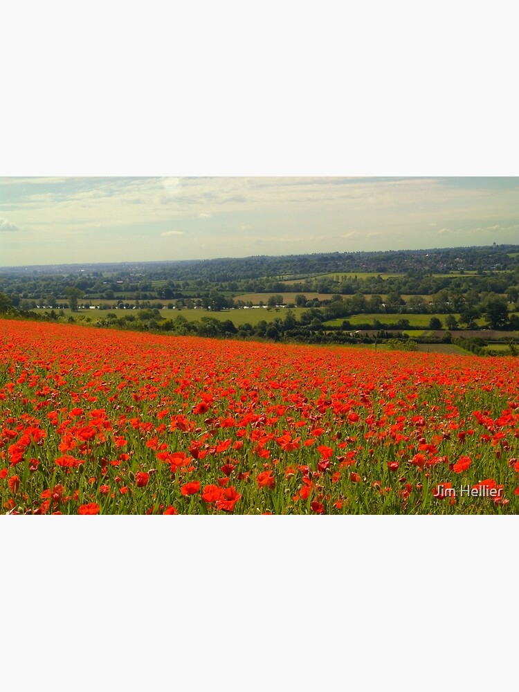 Poppy Fields Boze Down