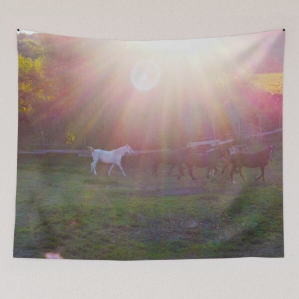 Item preview, Dreams about horses designed and sold by Kate-P-.