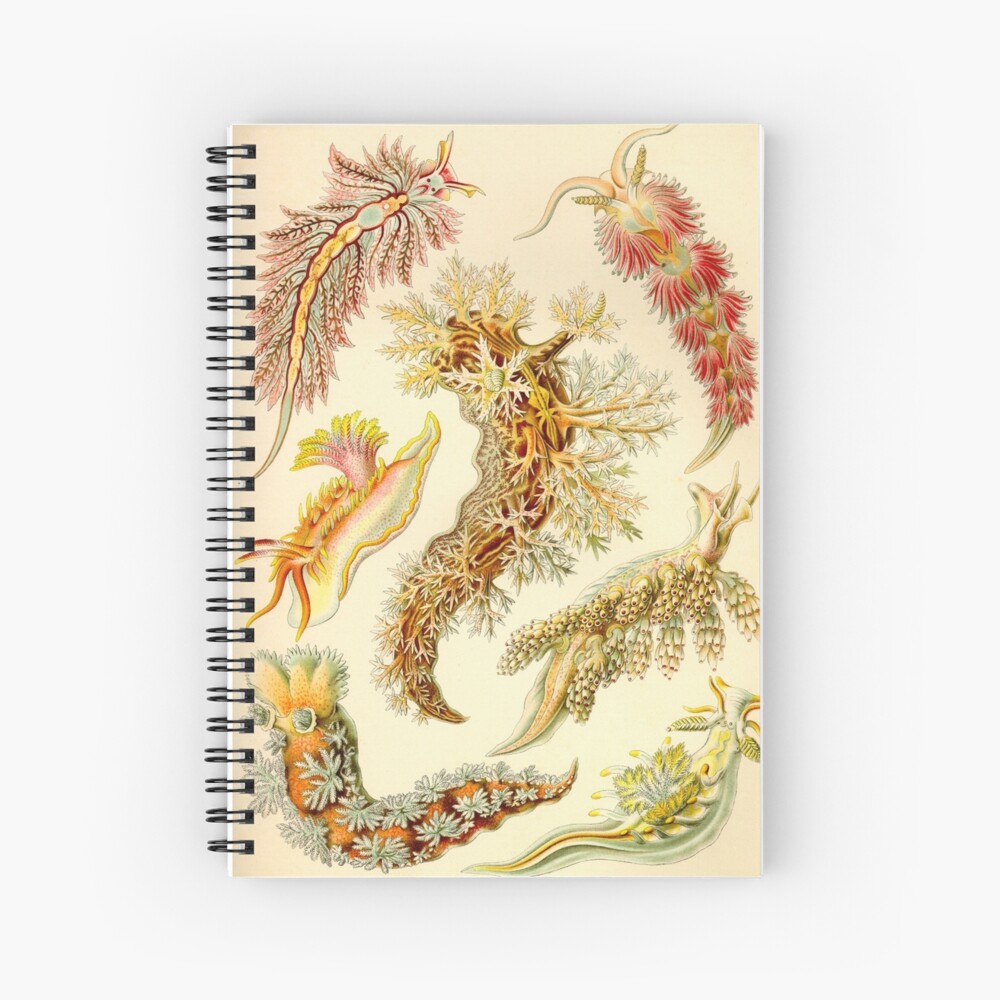 Sea Slug - Ernst Haeckel Spiral Notebook