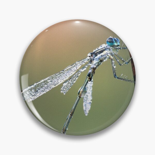 Item preview, Damselfly designed and sold by Bill Spengler's Photographic Thoughts.